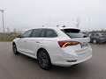 Skoda Octavia 4x4 Style TDI DSG Weiß - thumbnail 3