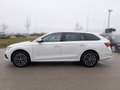 Skoda Octavia 4x4 Style TDI DSG Weiß - thumbnail 2