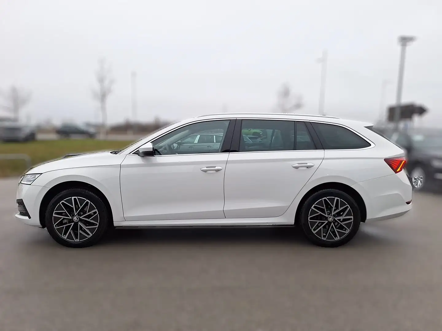 Skoda Octavia 4x4 Style TDI DSG Weiß - 2