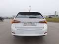 Skoda Octavia 4x4 Style TDI DSG Weiß - thumbnail 4