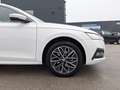 Skoda Octavia 4x4 Style TDI DSG Weiß - thumbnail 7