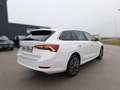 Skoda Octavia 4x4 Style TDI DSG Weiß - thumbnail 5