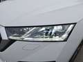 Skoda Octavia 4x4 Style TDI DSG Weiß - thumbnail 16