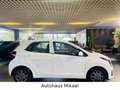 Kia Picanto Vision Weiß - thumbnail 9
