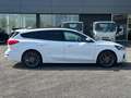 Ford Focus 1.0 EcoBoost 125 CV SW ST-Line Blanc - thumbnail 3