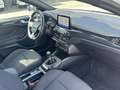 Ford Focus 1.0 EcoBoost 125 CV SW ST-Line Blanc - thumbnail 12