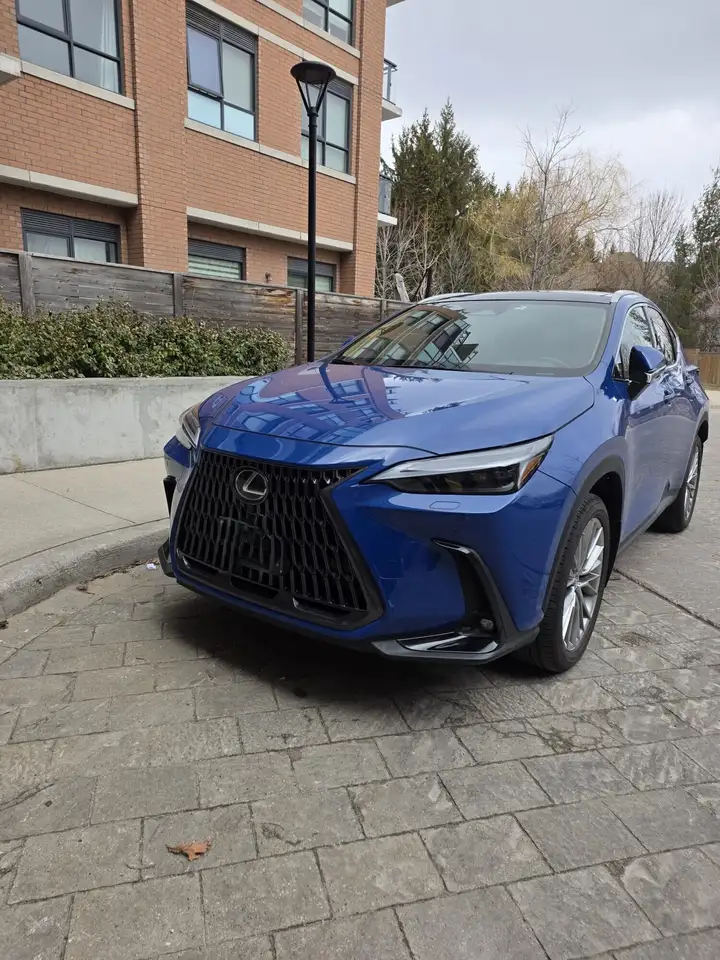 2023 Lexus NX