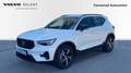 Volvo XC40 2.0 B3 PLUS DARK AUTO 163 5P - thumbnail 1