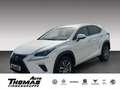 Lexus NX 300 Executive Line 300h LED+KLIMA+NAVI Weiß - thumbnail 1