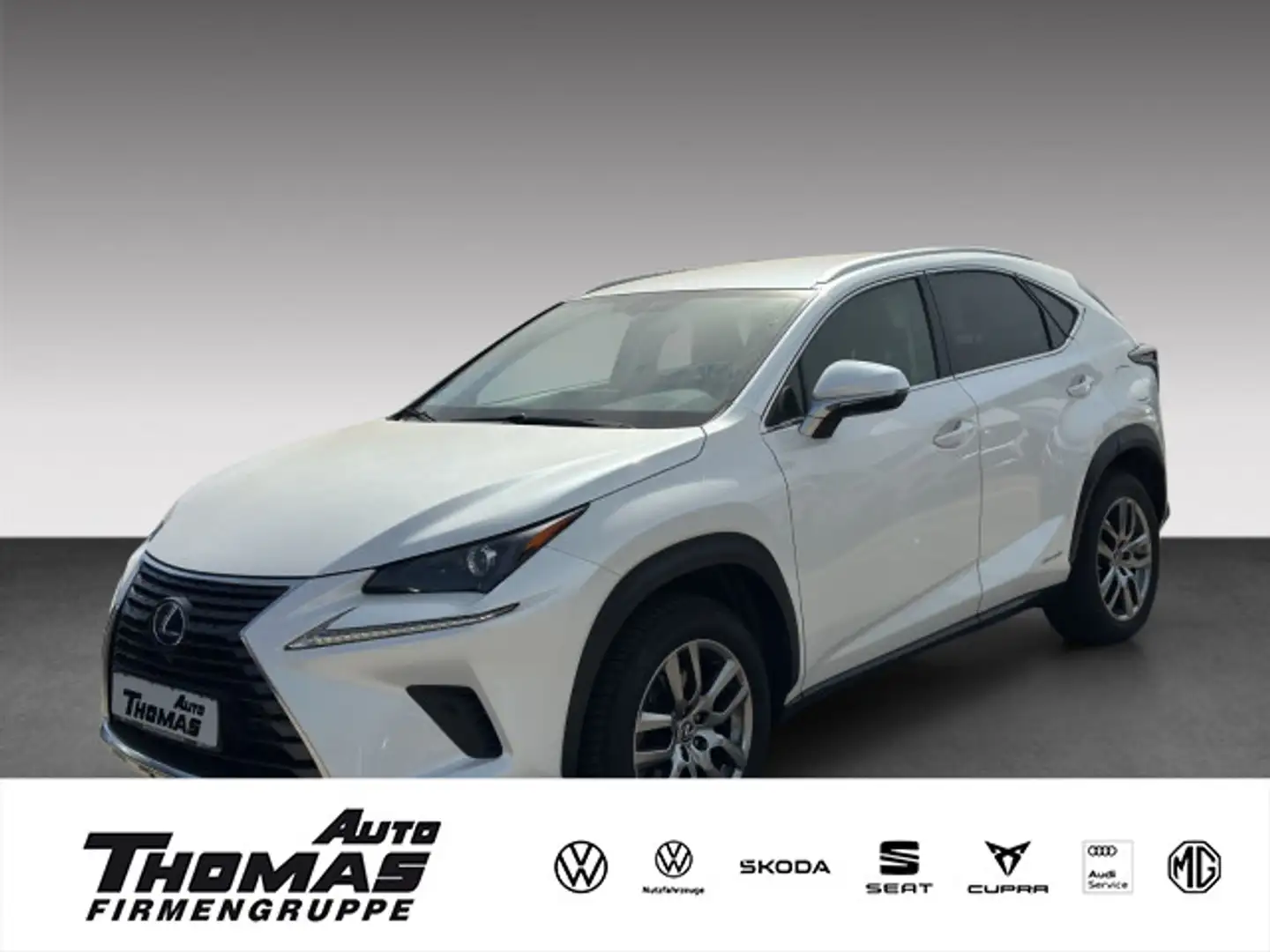 Lexus NX 300 Executive Line 300h LED+KLIMA+NAVI Weiß - 1