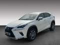 Lexus NX 300 Executive Line 300h LED+KLIMA+NAVI Weiß - thumbnail 3