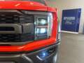 Ford F 150 RAPTOR 3.5 V6 High Output SuperCrew VOORRAAD Rouge - thumbnail 23