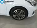 Kia Ceed / cee'd 1.6CRDI VGT Tech 136 - thumbnail 8