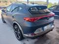 CUPRA Formentor Formentor 2.0 tdi 4drive 150cv dsg Blauw - thumbnail 19
