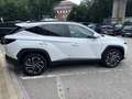 Hyundai TUCSON 1.6 Hev 215 cv Exellence KM ZERO Bianco - thumbnail 6