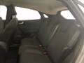 Ford Puma 1.0 EcoBoost Hybrid 125 CV S&S Titanium Design Grigio - thumbnail 17