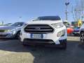Ford EcoSport 1.0 EcoBoost 125 CV Start&Stop + GPL Bianco - thumbnail 2