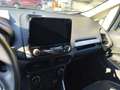 Ford EcoSport 1.0 EcoBoost 125 CV Start&Stop + GPL Bianco - thumbnail 11