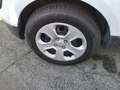 Ford EcoSport 1.0 EcoBoost 125 CV Start&Stop + GPL Bianco - thumbnail 7