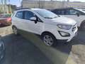 Ford EcoSport 1.0 EcoBoost 125 CV Start&Stop + GPL Bianco - thumbnail 3