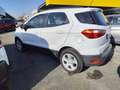 Ford EcoSport 1.0 EcoBoost 125 CV Start&Stop + GPL Bianco - thumbnail 6