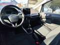 Ford EcoSport 1.0 EcoBoost 125 CV Start&Stop + GPL Bianco - thumbnail 18