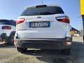Ford EcoSport 1.0 EcoBoost 125 CV Start&Stop + GPL Bianco - thumbnail 4