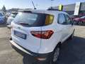 Ford EcoSport 1.0 EcoBoost 125 CV Start&Stop + GPL Bianco - thumbnail 5