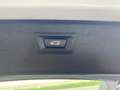 BMW 525 525d Touring xdrive Futura auto + tetto panorama Bianco - thumbnail 11