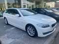 BMW 525 525d Touring xdrive Futura auto + tetto panorama Bianco - thumbnail 1