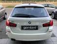 BMW 525 525d Touring xdrive Futura auto + tetto panorama Bianco - thumbnail 6