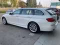 BMW 525 525d Touring xdrive Futura auto + tetto panorama Bianco - thumbnail 8