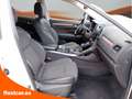 Renault Koleos 2.0dCi Zen X-Tronic 4WD 130kW - thumbnail 13