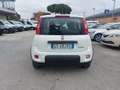 Fiat Panda 1.0 Hybrid Firefly Wit - thumbnail 5
