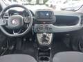 Fiat Panda 1.0 Hybrid Firefly Wit - thumbnail 7