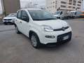 Fiat Panda 1.0 Hybrid Firefly Wit - thumbnail 3