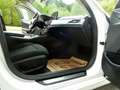 BMW 530 e xDrive Touring Aut. Weiß - thumbnail 13