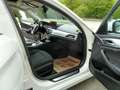 BMW 530 e xDrive Touring Aut. Weiß - thumbnail 12
