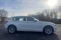 BMW 118 Serie 1 F/20-21 2015 118i Urban 5p Bianco - thumbnail 3