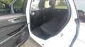 Ford Edge Edge 2.0 TDCi 4x4Titanium Biały - thumbnail 9