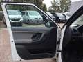 Skoda Fabia Cool Edition Weiß - thumbnail 11
