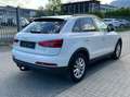 Audi Q3 2.0 TDI quattro Automatik Navigation Xenon AHK Weiß - thumbnail 5