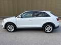 Audi Q3 2.0 TDI quattro Automatik Navigation Xenon AHK Weiß - thumbnail 8
