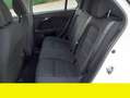 Fiat Tipo Fiat Tipo 1.6 Mjt 120cv SW Business anno 2019 Bianco - thumbnail 14