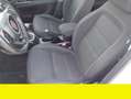 Fiat Tipo Fiat Tipo 1.6 Mjt 120cv SW Business anno 2019 Bianco - thumbnail 10