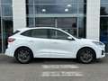 Ford Kuga 2.5 Duratec 190ch FHEV E85 ST-Line Business BVA Wit - thumbnail 4