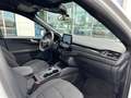 Ford Kuga 2.5 Duratec 190ch FHEV E85 ST-Line Business BVA Wit - thumbnail 15