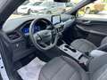 Ford Kuga 2.5 Duratec 190ch FHEV E85 ST-Line Business BVA Blanc - thumbnail 13