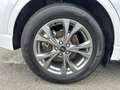 Ford Kuga 2.5 Duratec 190ch FHEV E85 ST-Line Business BVA Wit - thumbnail 12