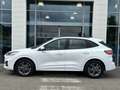 Ford Kuga 2.5 Duratec 190ch FHEV E85 ST-Line Business BVA Blanc - thumbnail 8